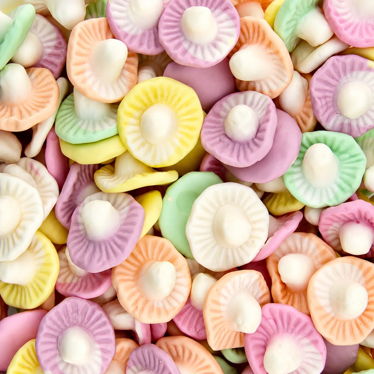 Champignons Fruités 100g
